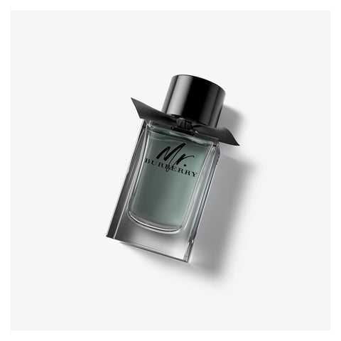 Mr. Burberry Eau de toilette